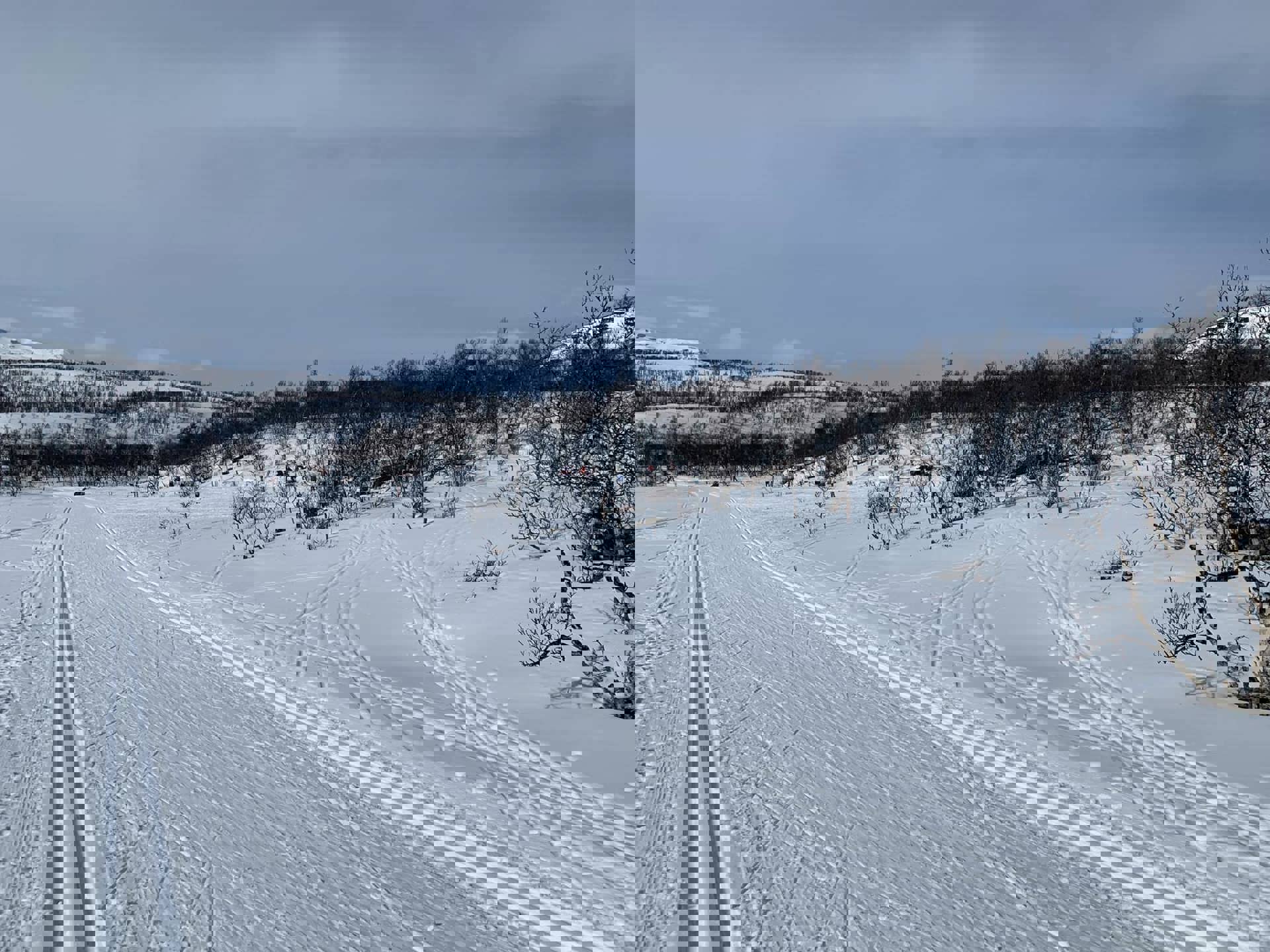 Status Nerskogen Løypeforening (April 2024) – Sake